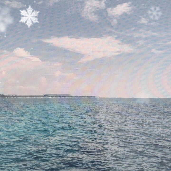人间清醒崔公子