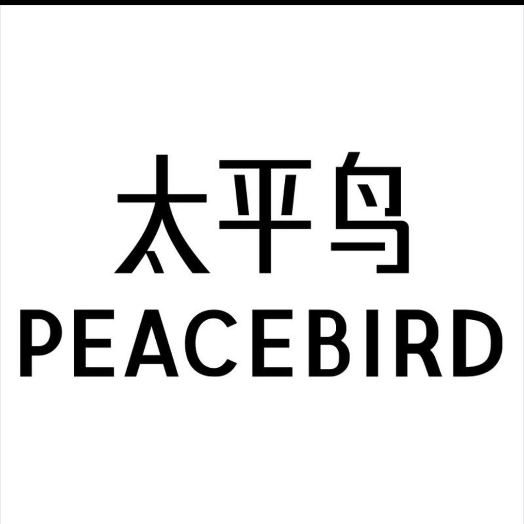 十天