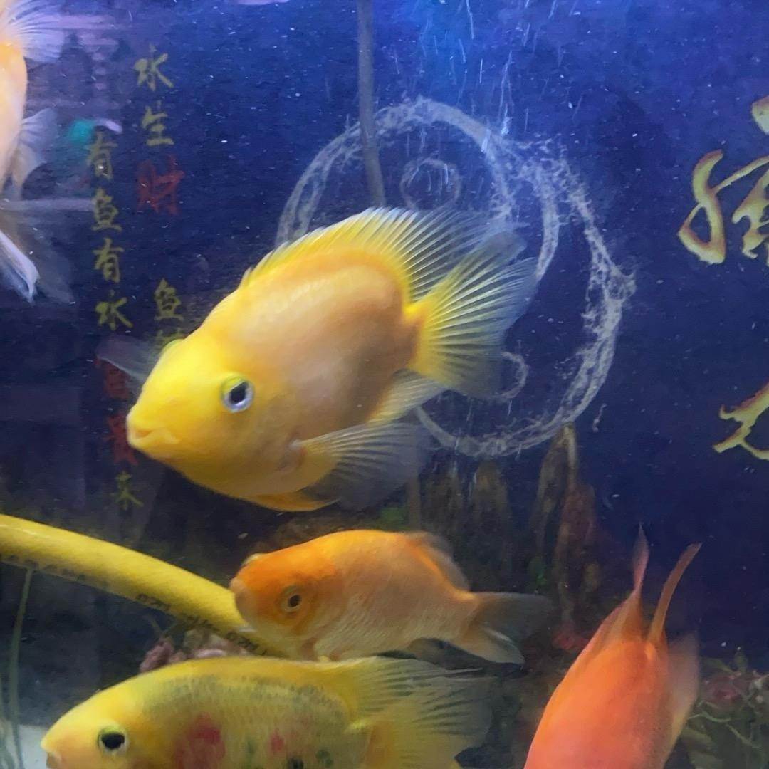 余生暴富💰八方来财💰💰廢💰廢💰