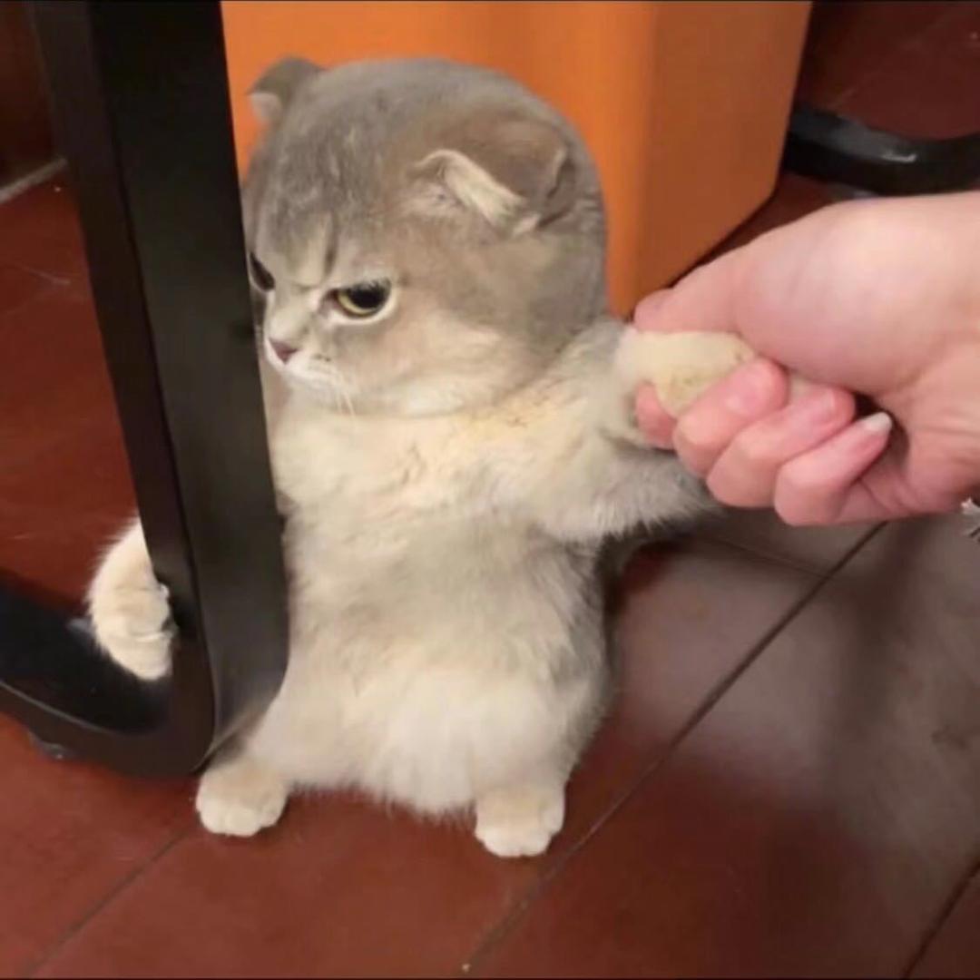 是杨子啊！