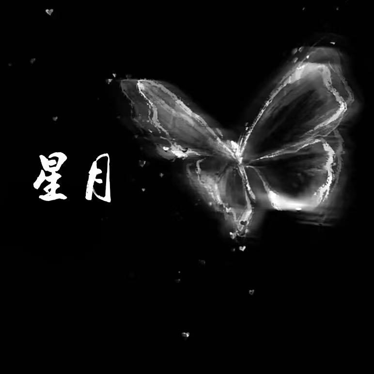 星月穿戴甲工作室