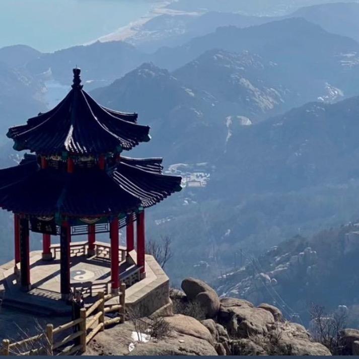 淵芝堂雷击木