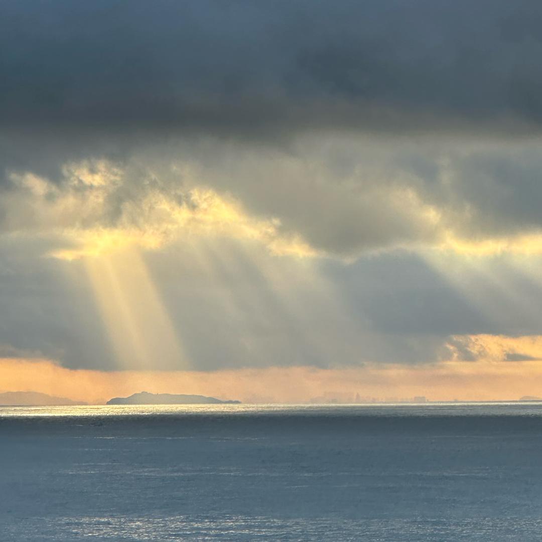 被爱的人不需要道歉