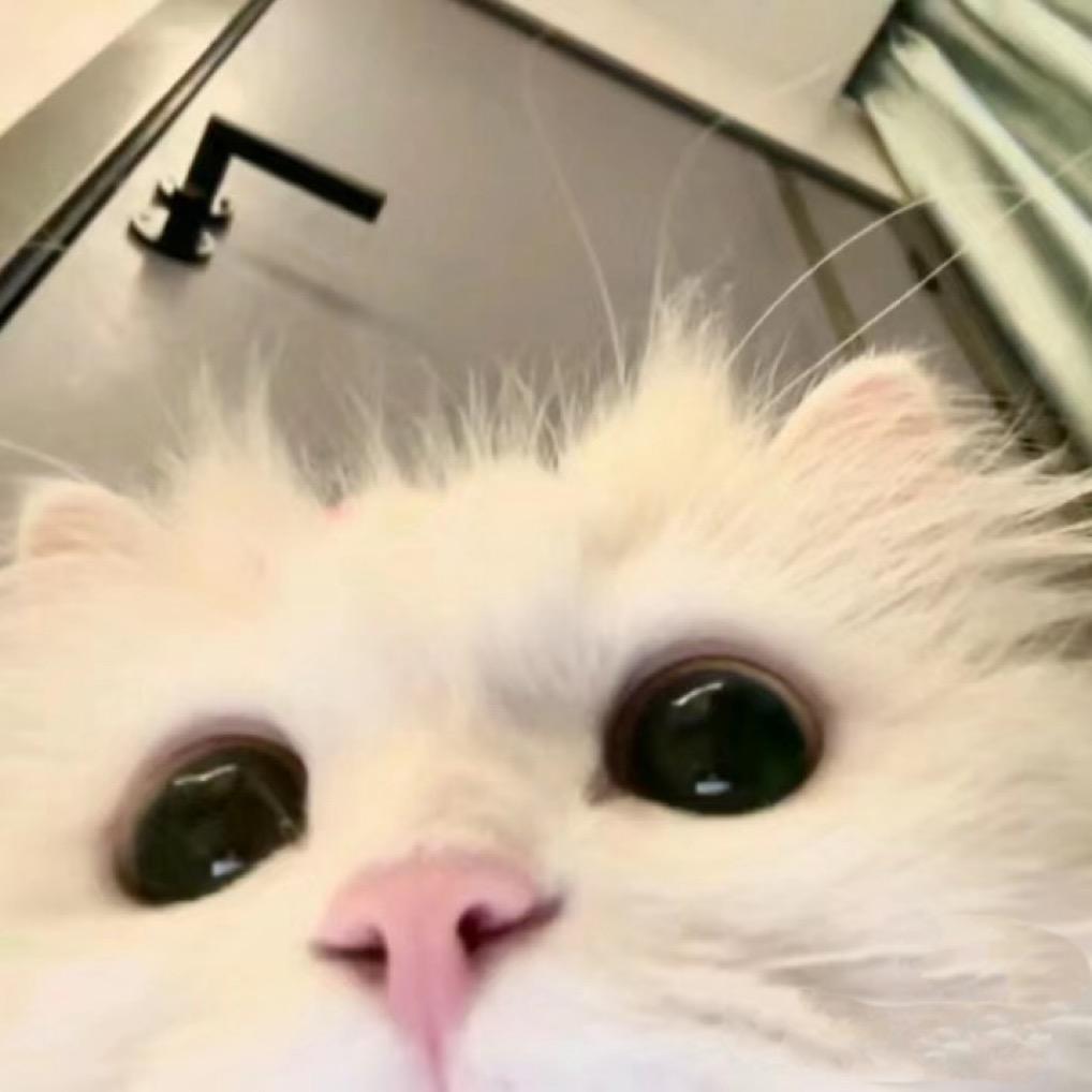 一碗周