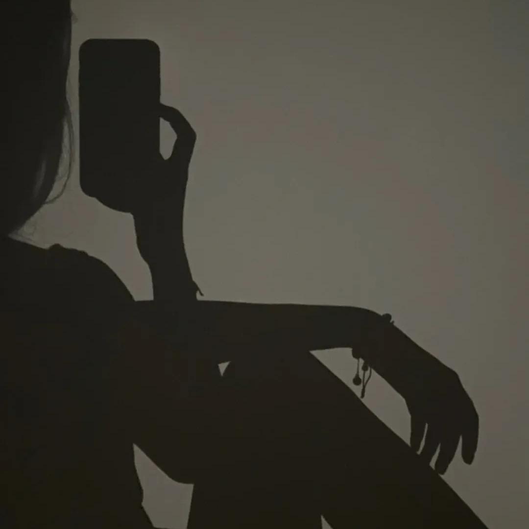 ℳ.偽裝ྋ ℡╮