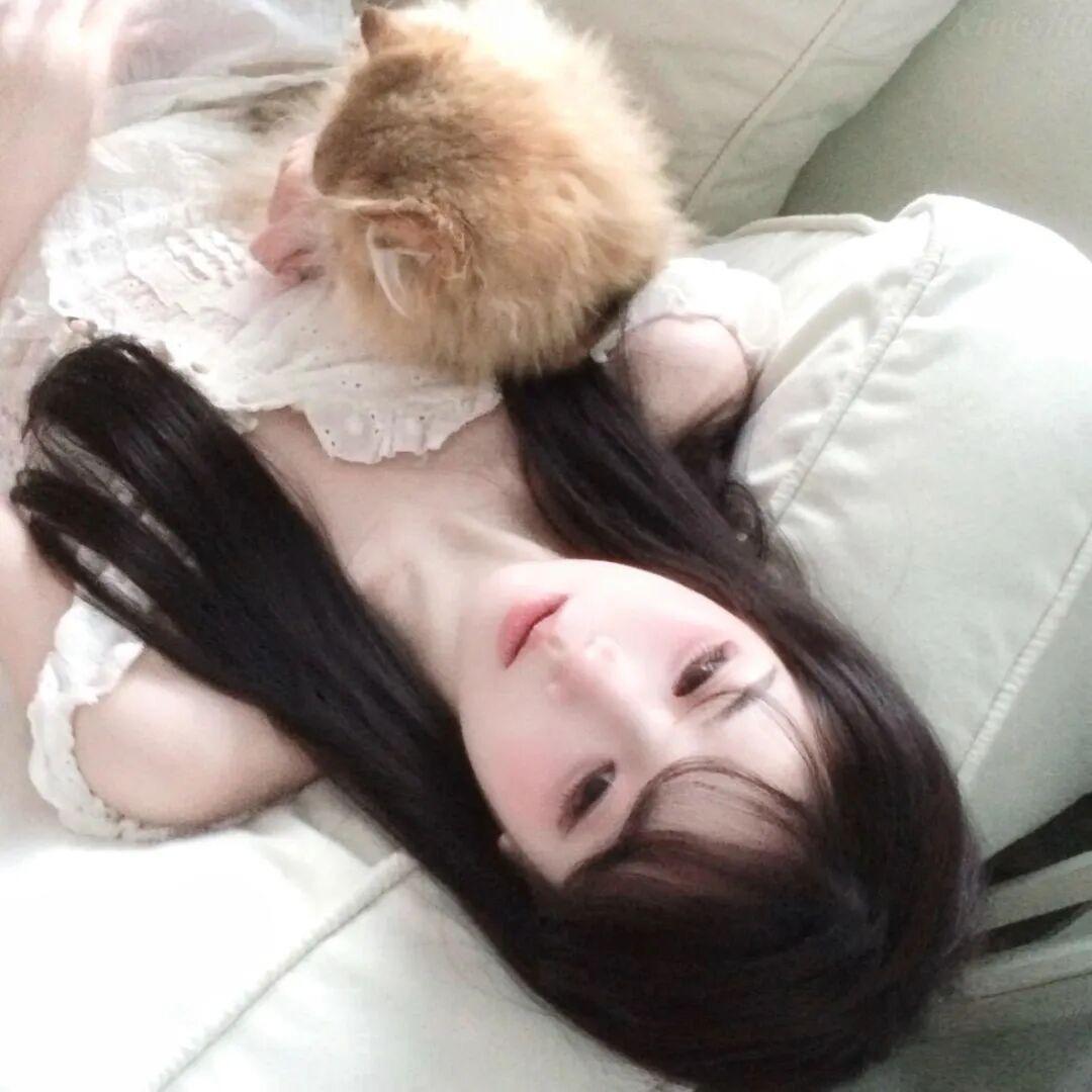 布偶