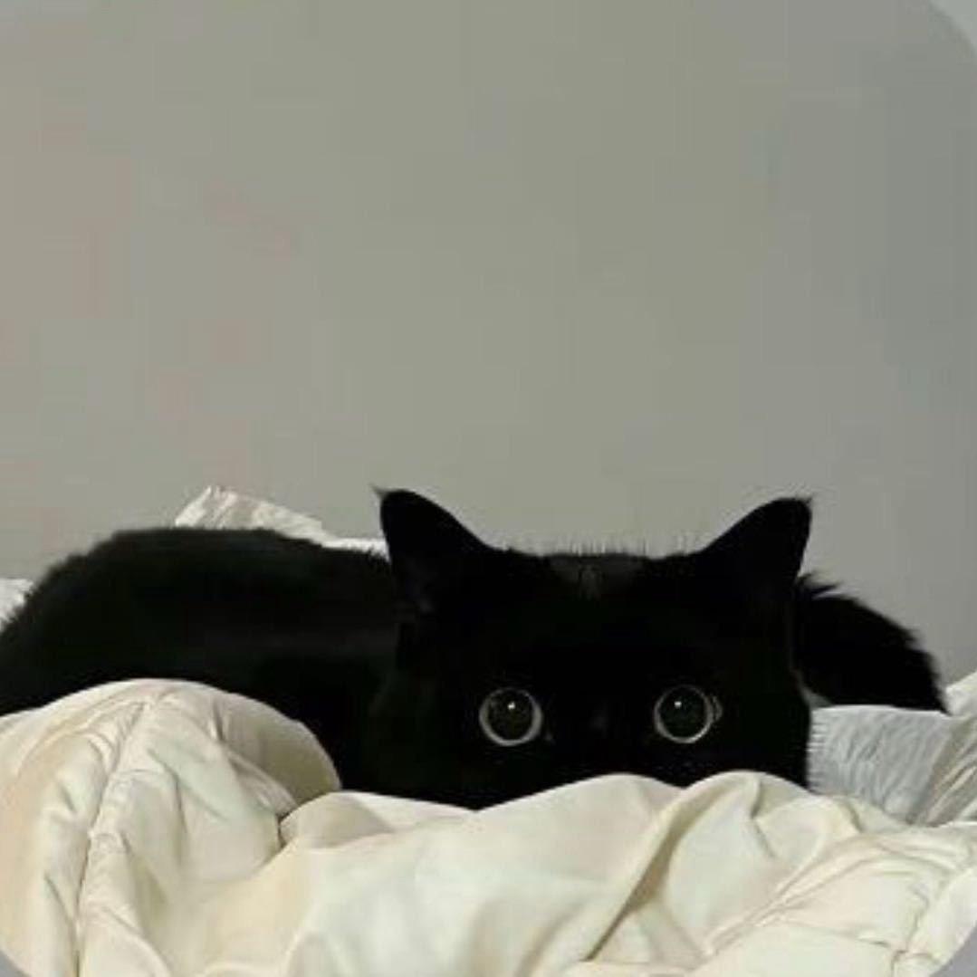17.