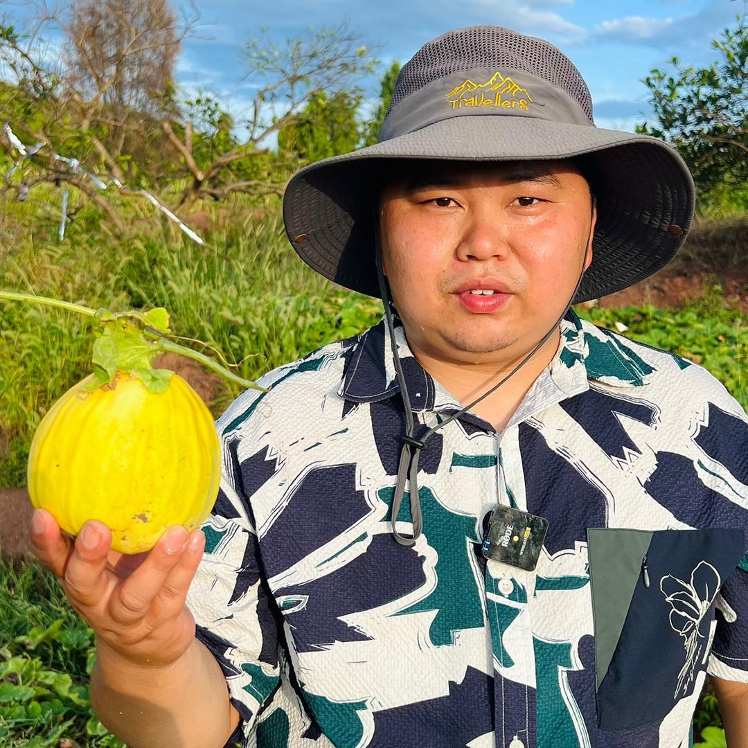 麻阳大信植保-黄进