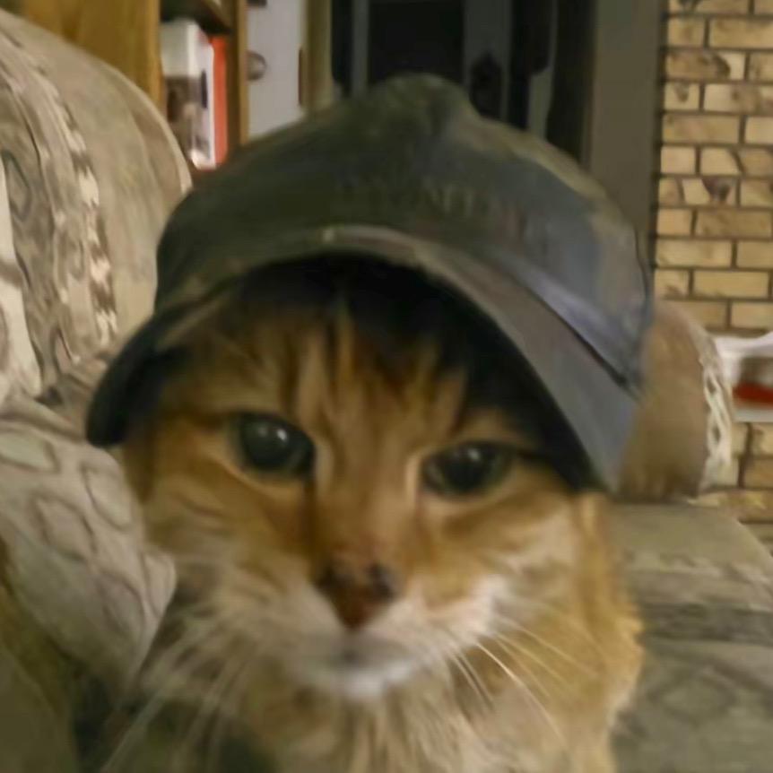 沼泽深处的男银