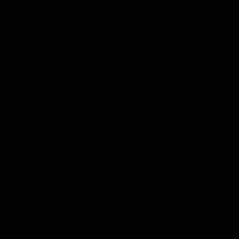 小公举