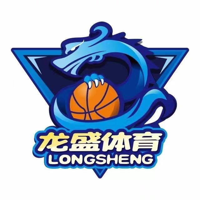 龙盛体育幼儿篮球🏀