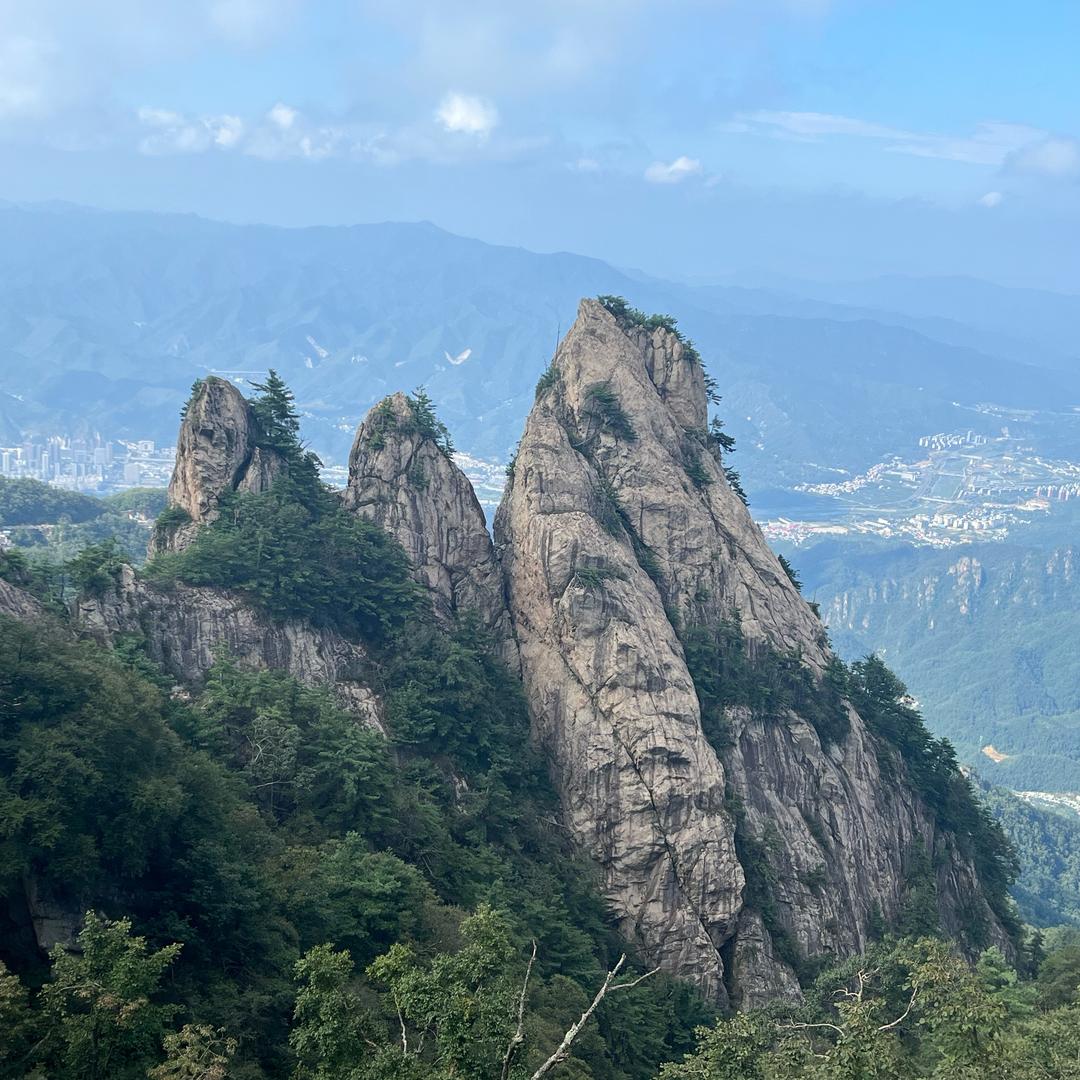唐狮(富康城购物中心店)呱炫营销号