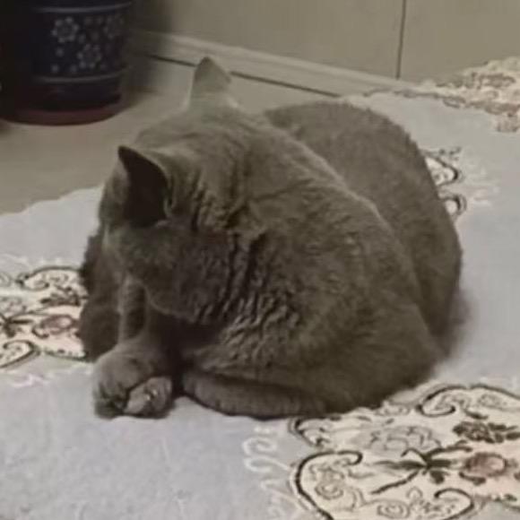 幸运之神的宠儿（避邪避渣避小人）