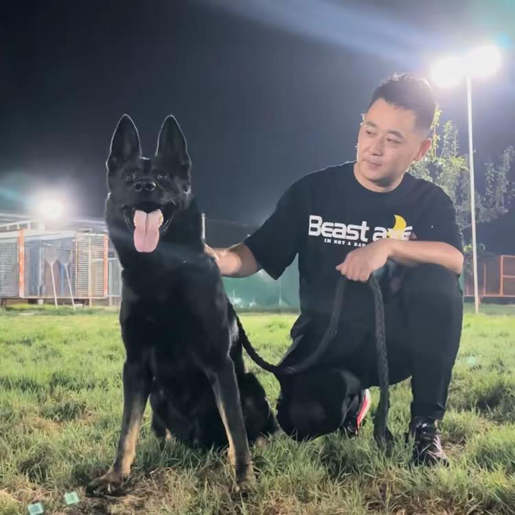 小冬-csv潍坊风筝犬舍