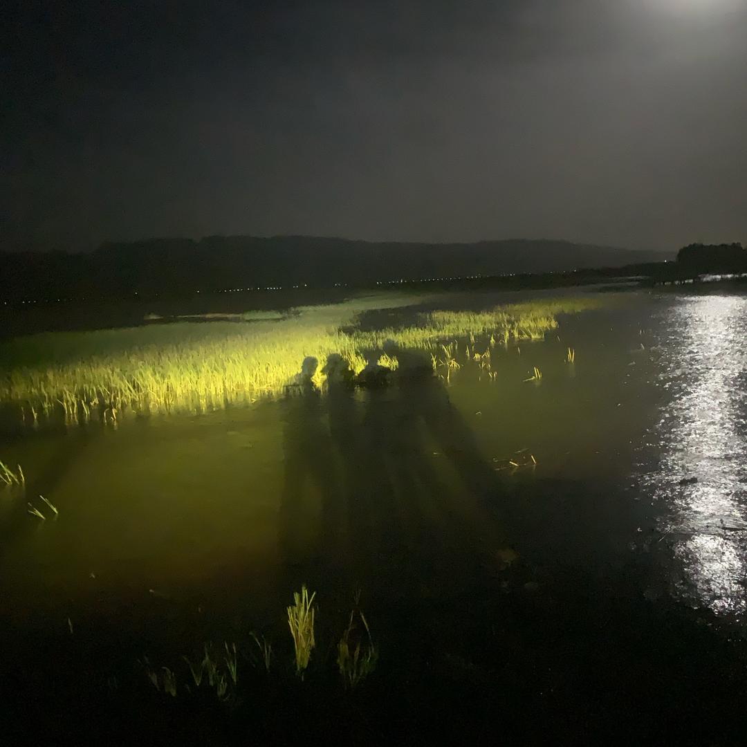 汐颜兮梦