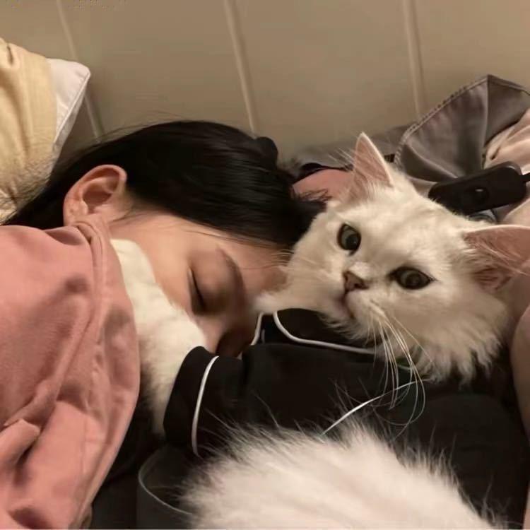张怼怼.