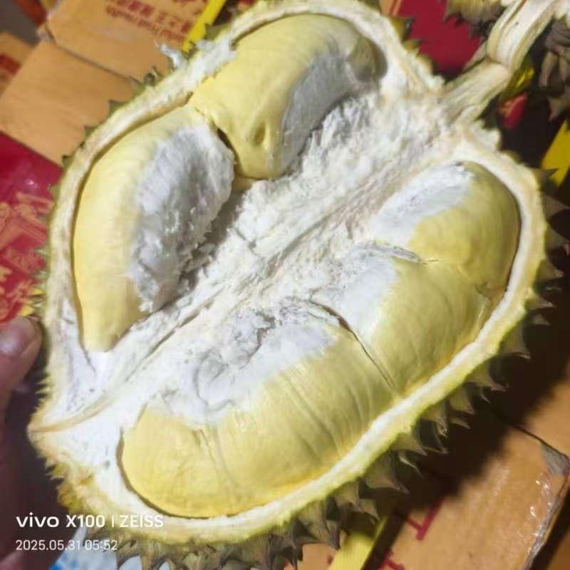 《丰榴记》合川最榴逼的男人(榴🉐发)