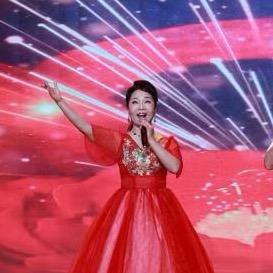 辛蕾《辛林演唱组合》
