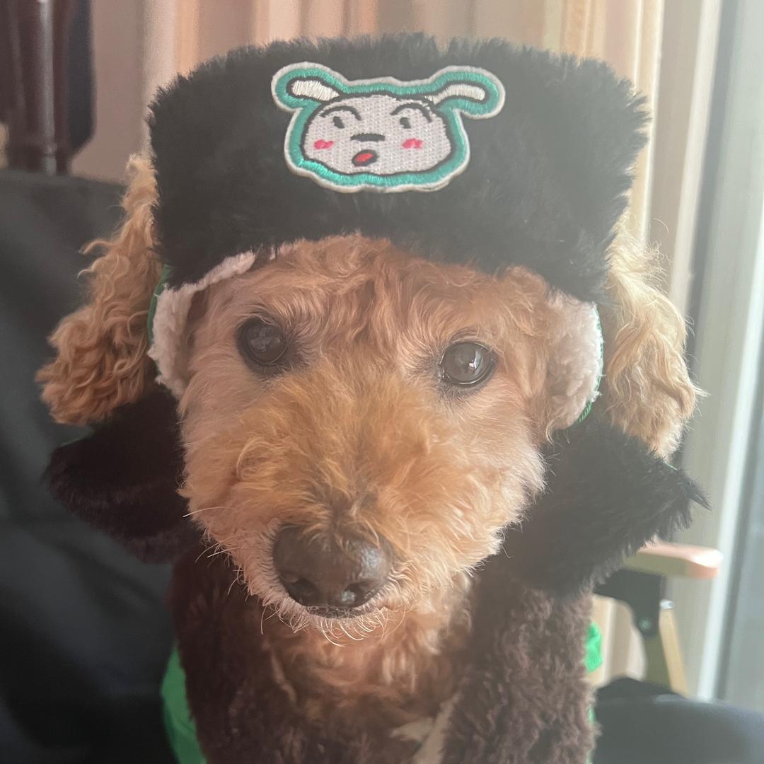 药真的不能停哦