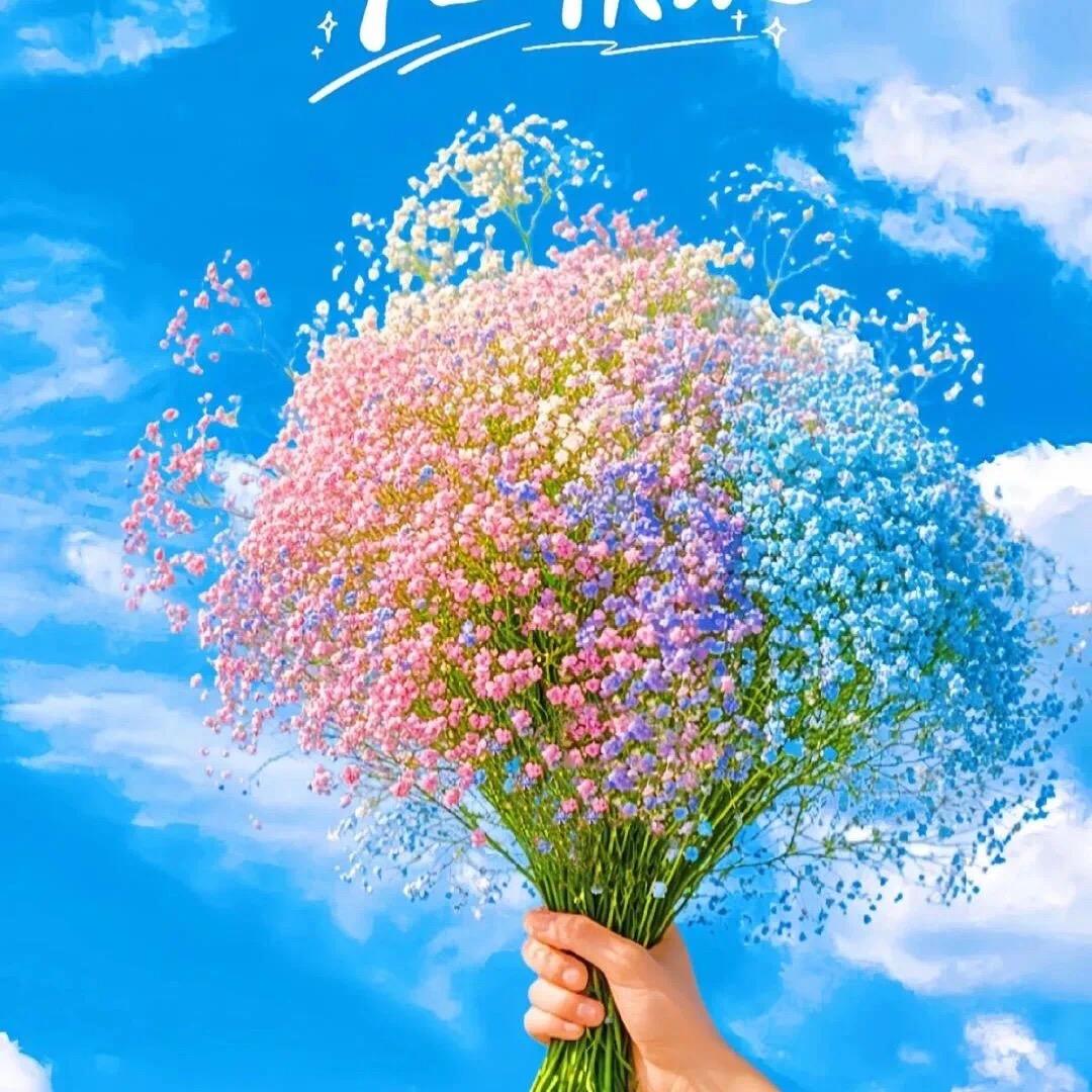 财迷