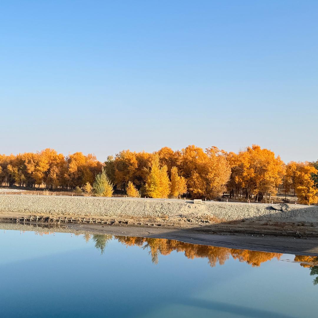 新疆丽姐免费办落户