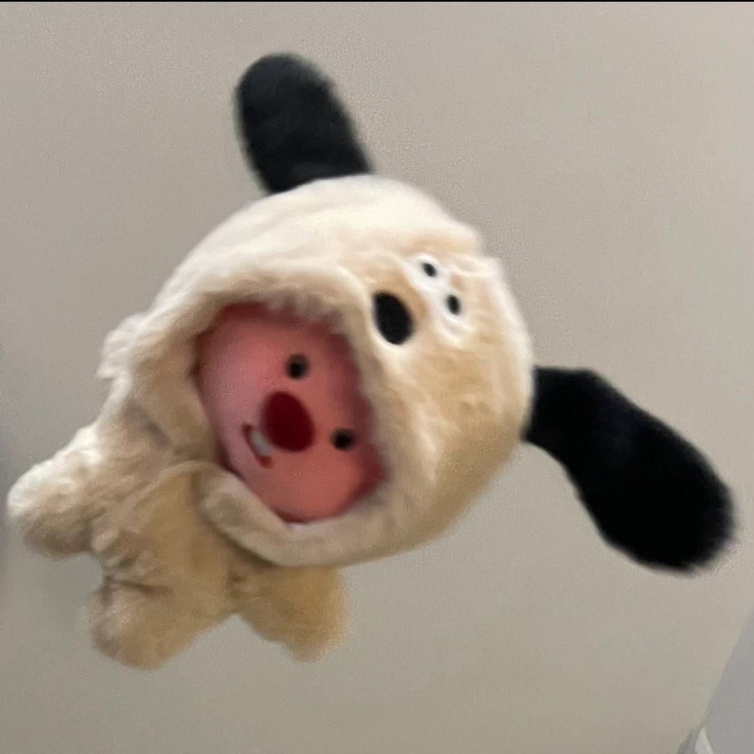 别管我.