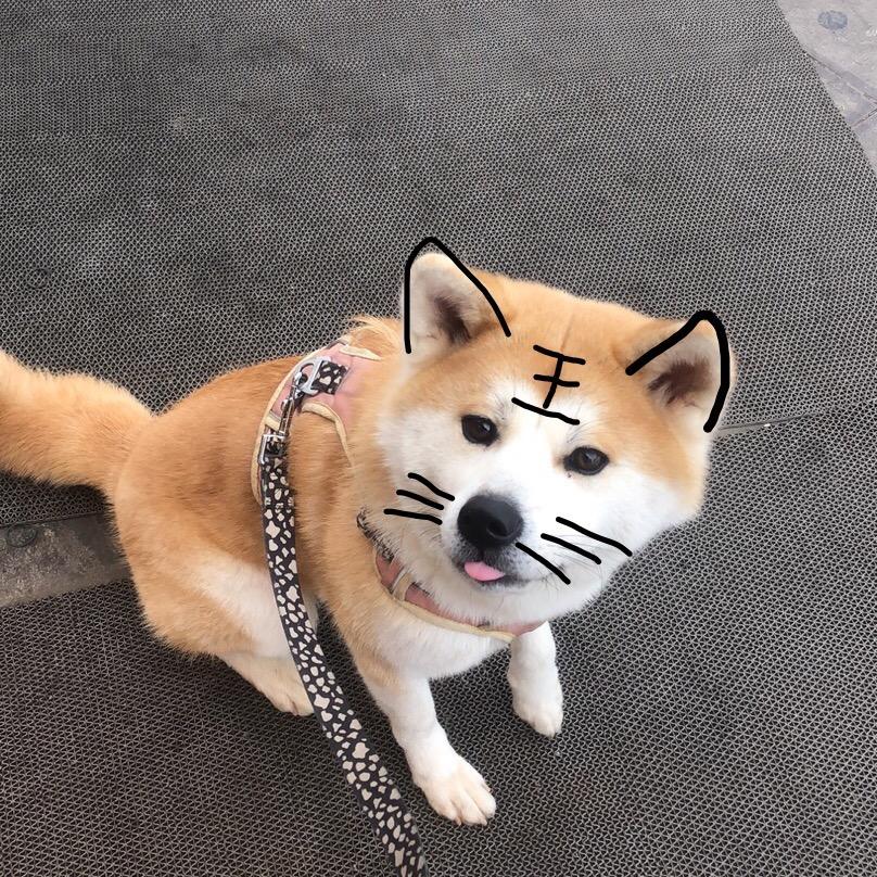 林深时见兔-WOT