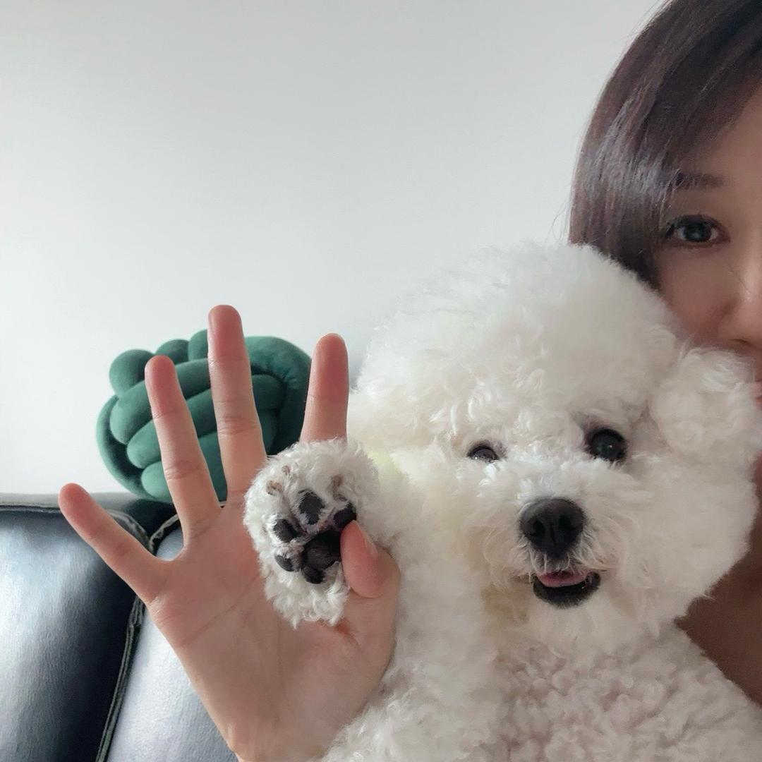 香格里拉的雪🌨️