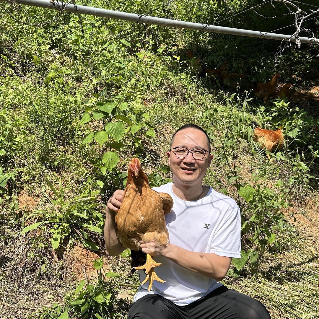 福禧农家盐焗鸡