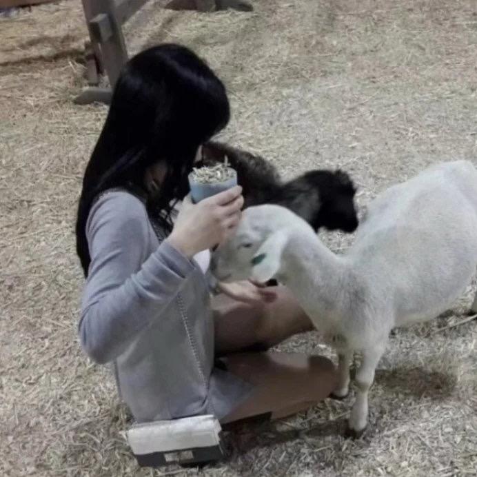 快拉黑这个吸吸