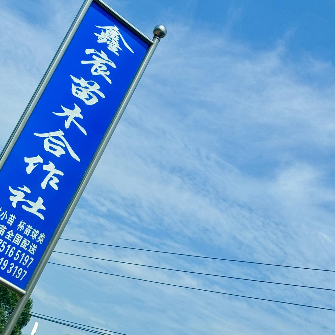 鑫宸园林