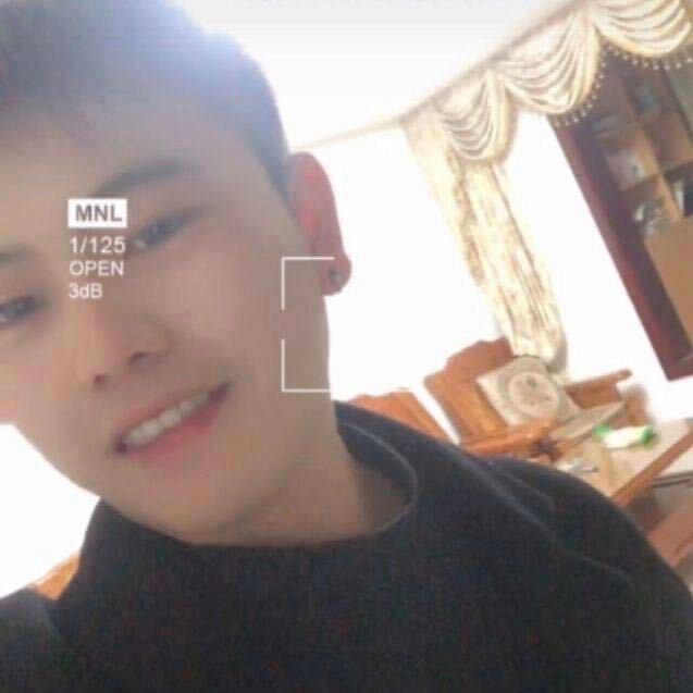 骑驴上树