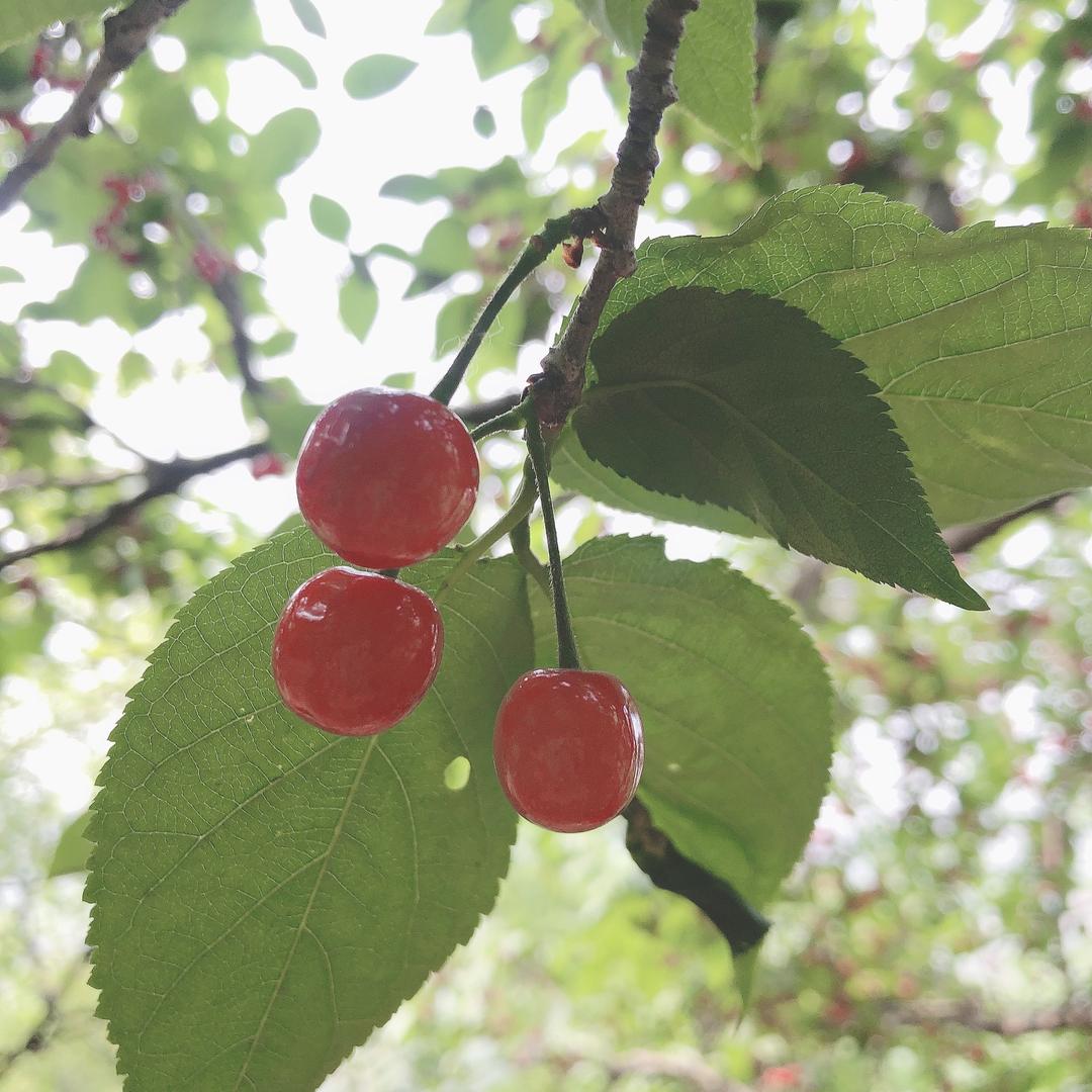 靖暖