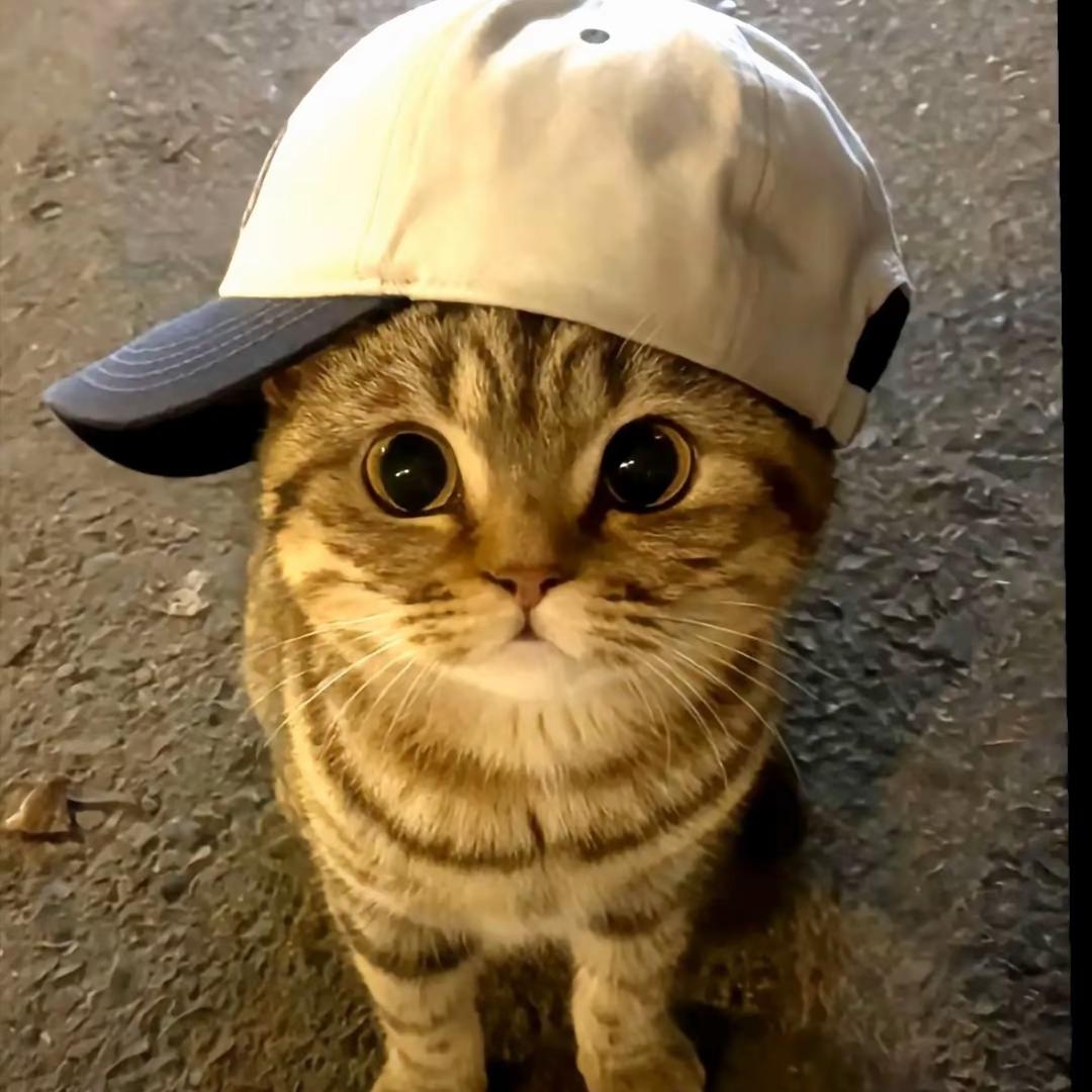 LM9