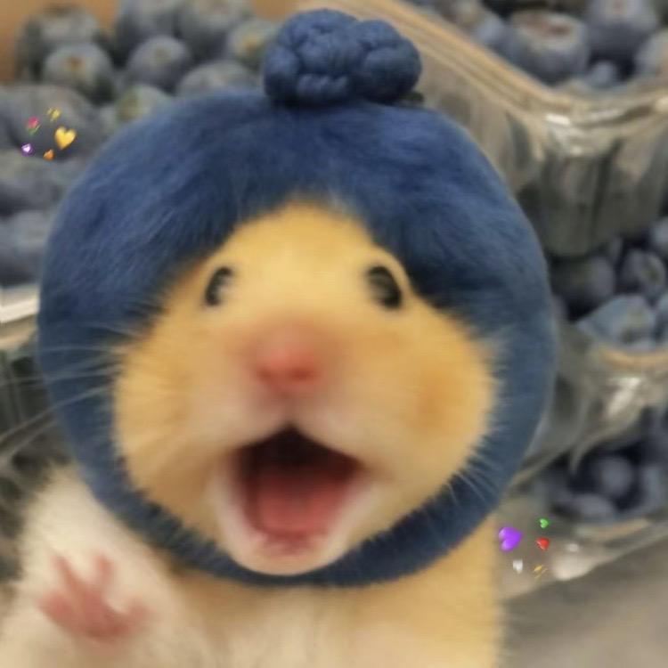 宁夏沐高·沙之岛屿沙漠观景酒店