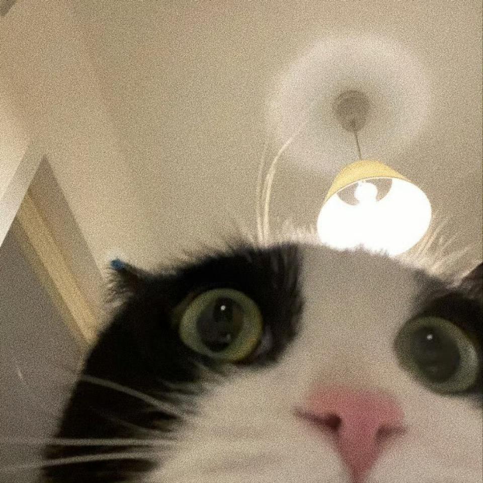 我只会哈哈哈