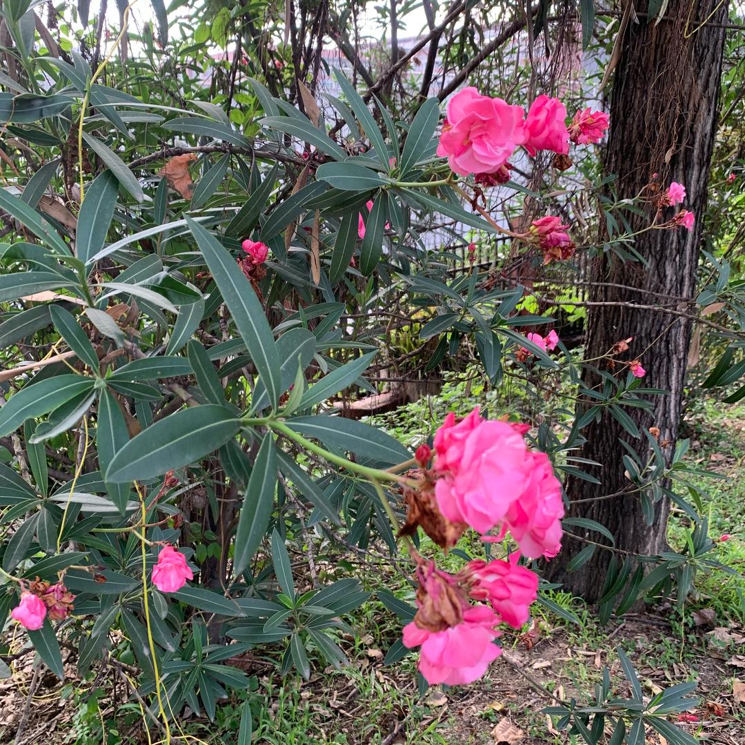 芸汐爱分享