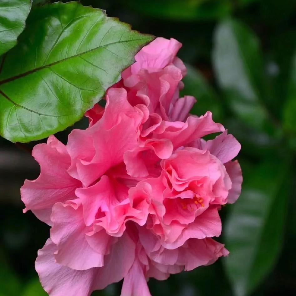 拾光花语