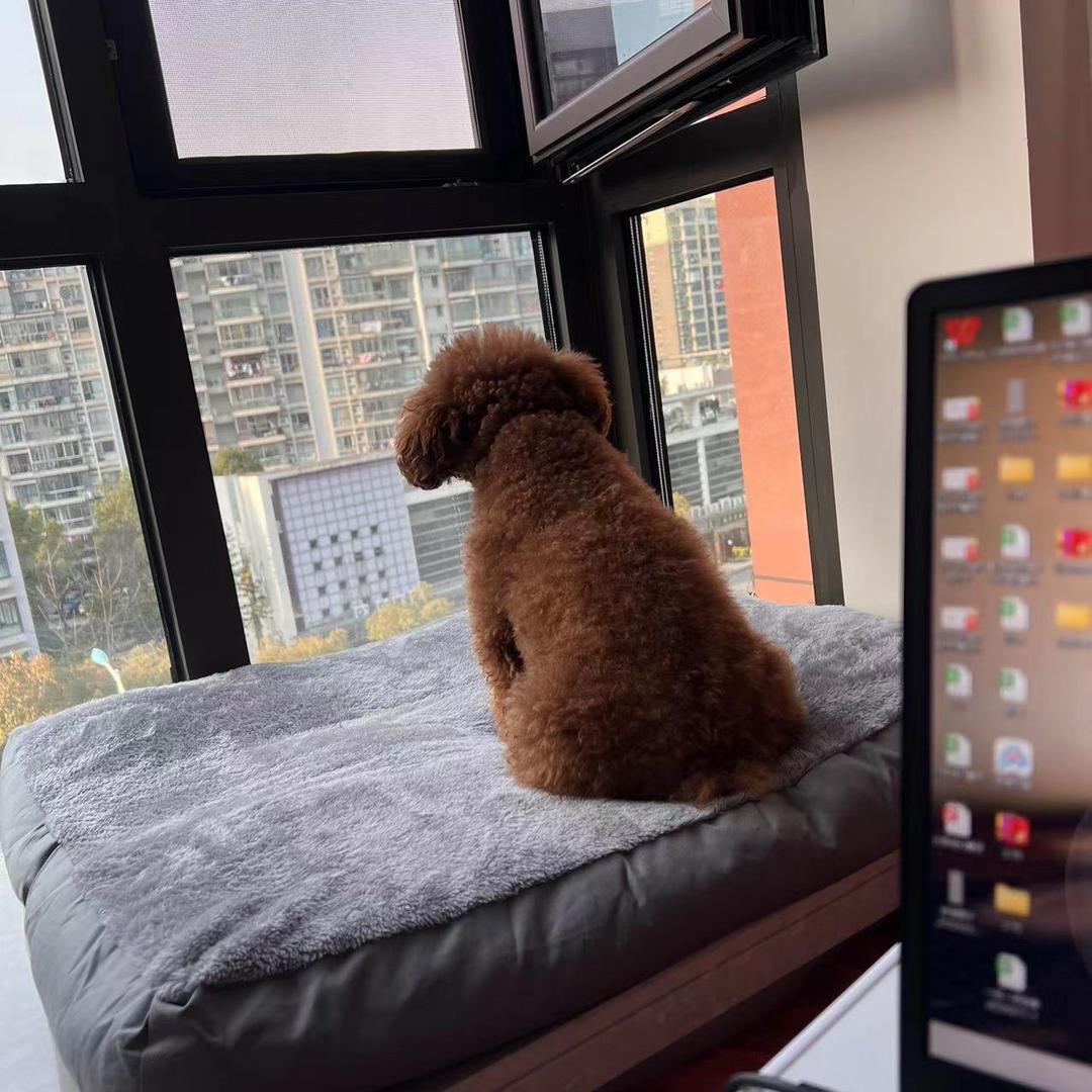 阿丽丽⁷⁰²