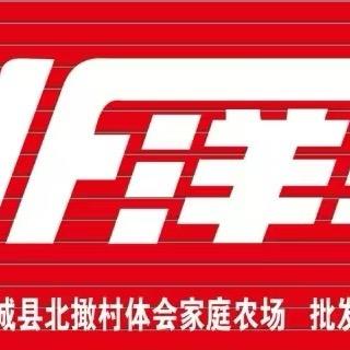 廷