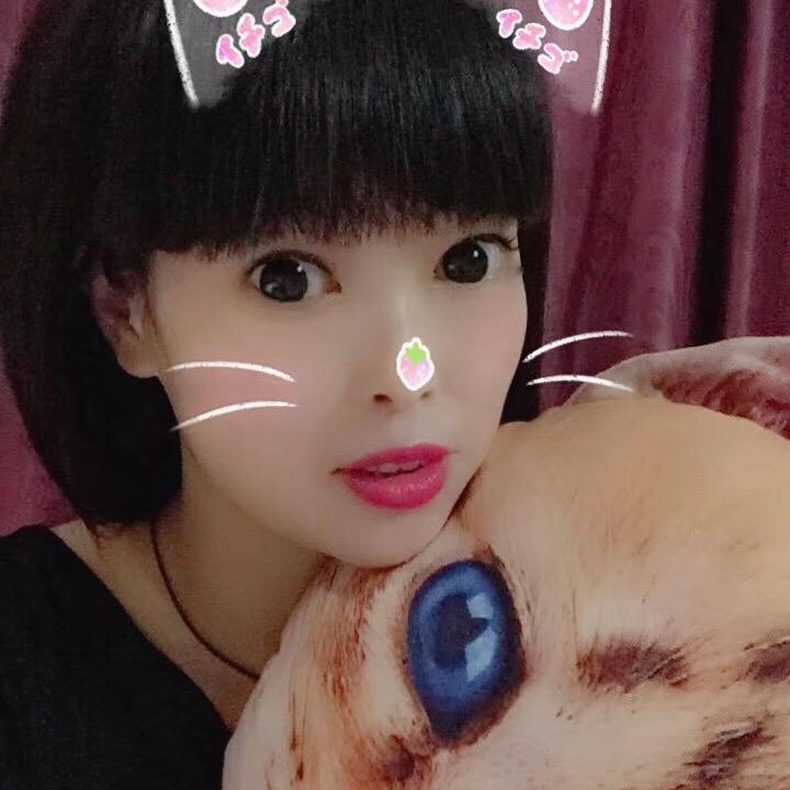 燕飞