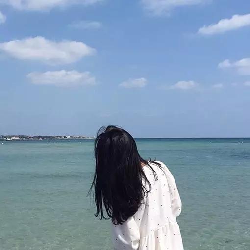 雪歌宝藏✨