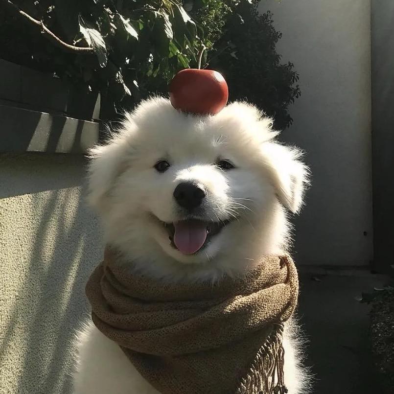 知春.