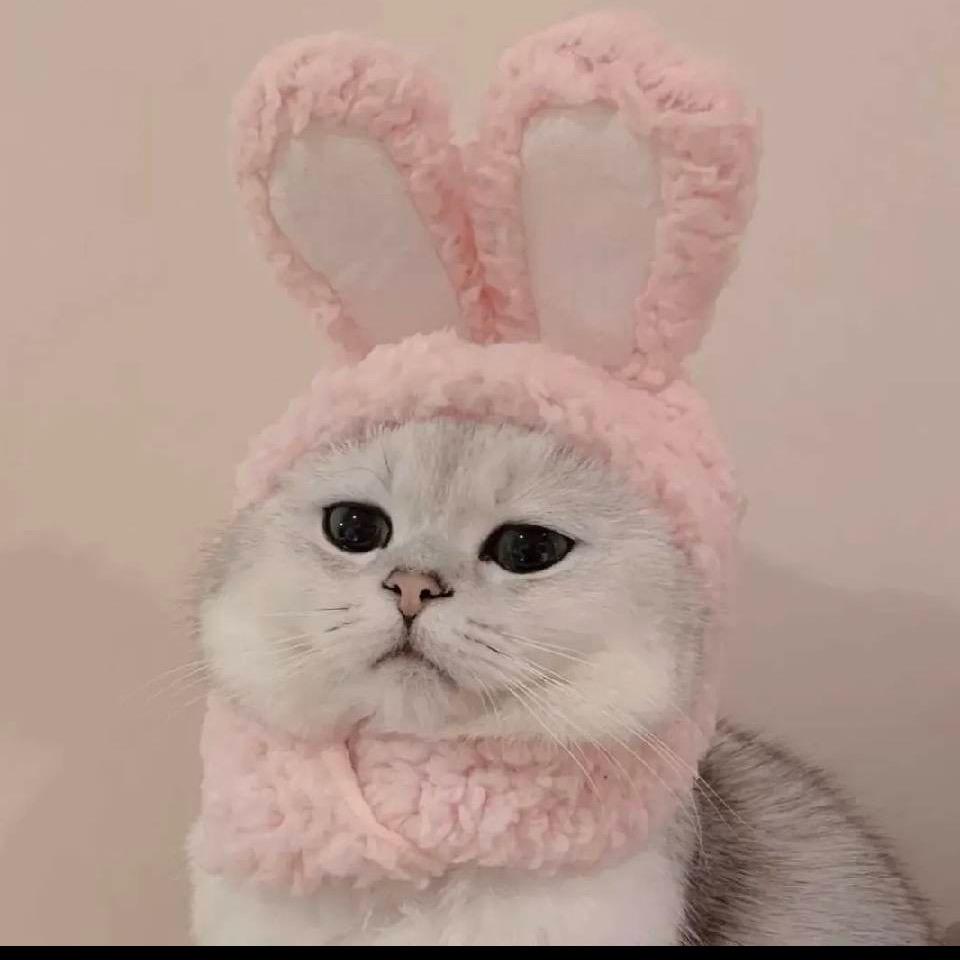 🌷