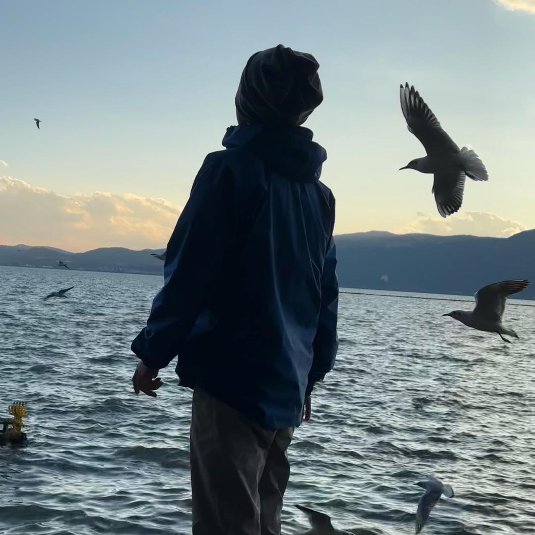 海绵宝宝🍼