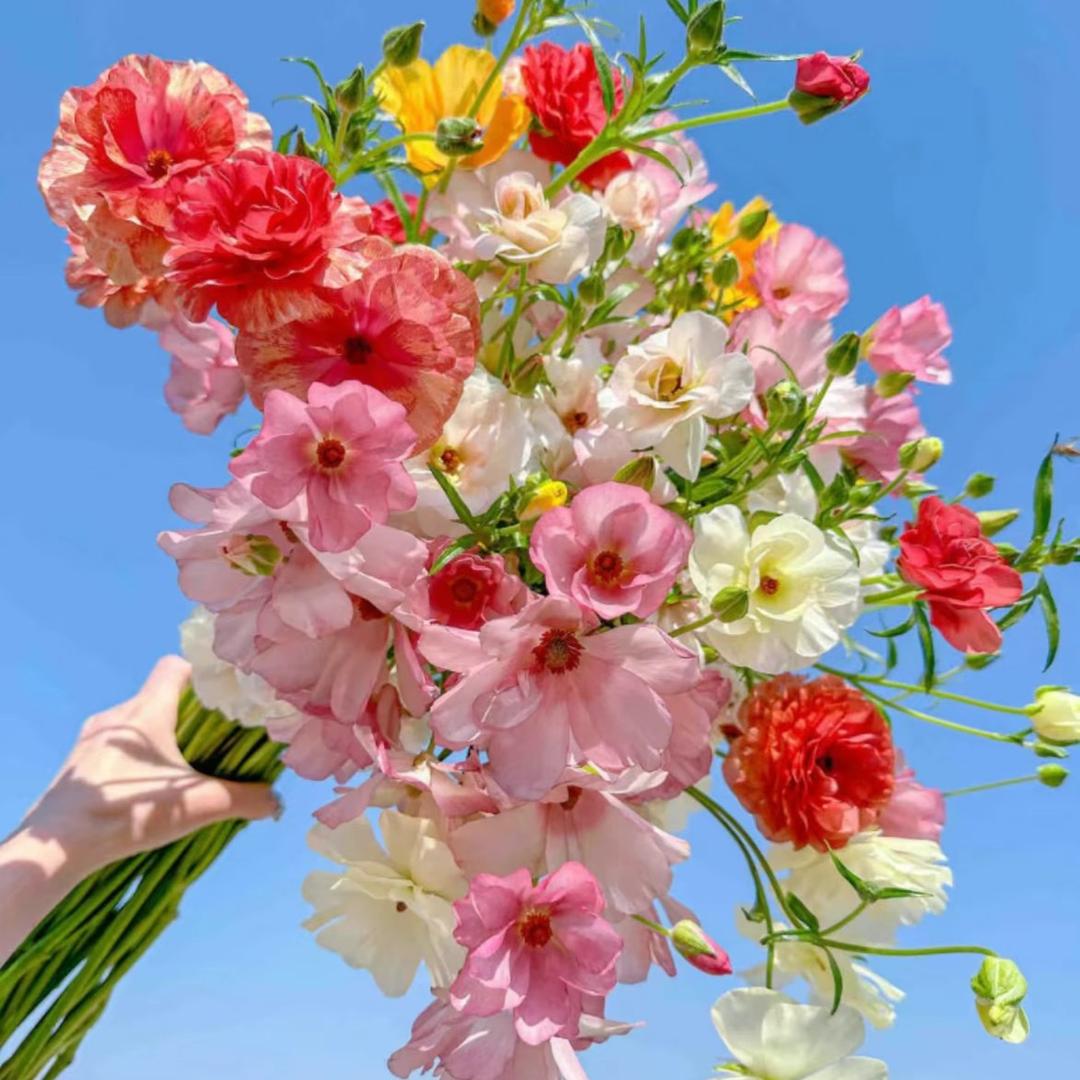 繁花里雅苑店