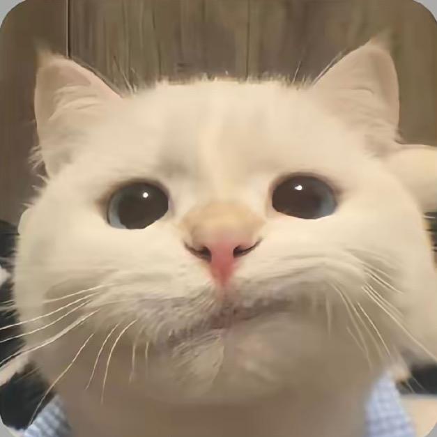 拾柒）
