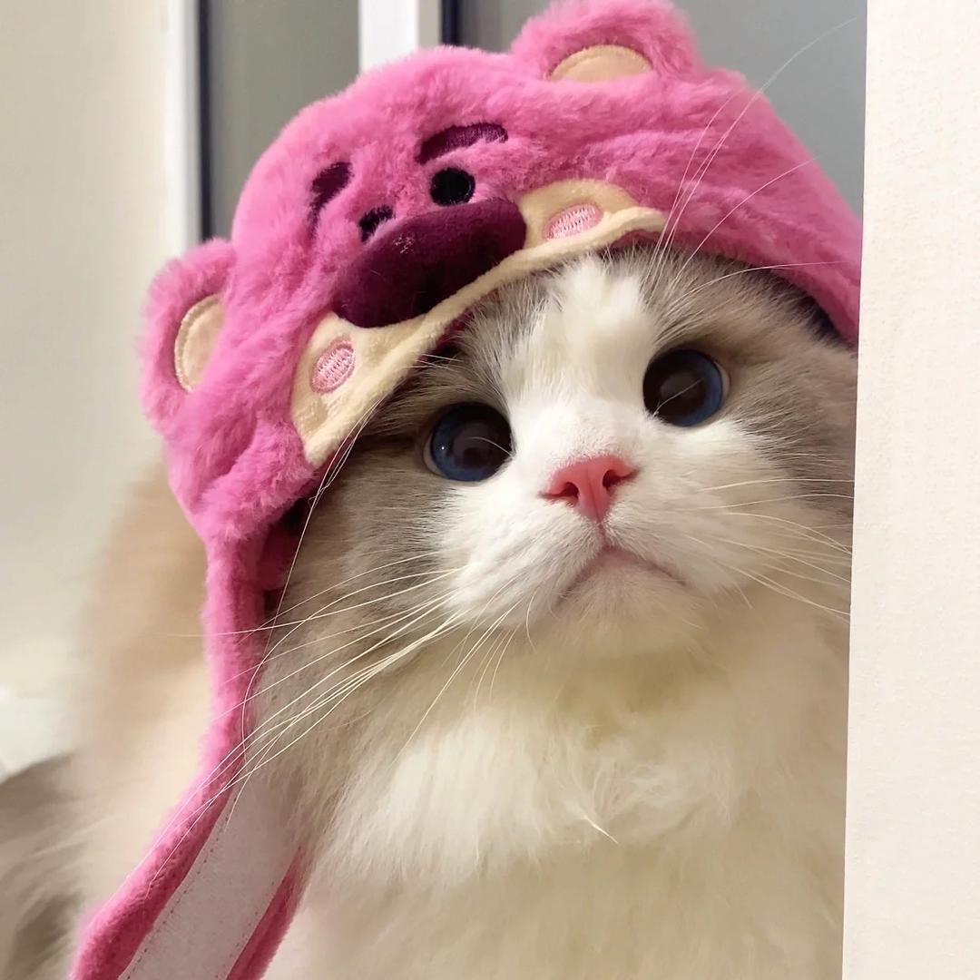 -长腿欧尼