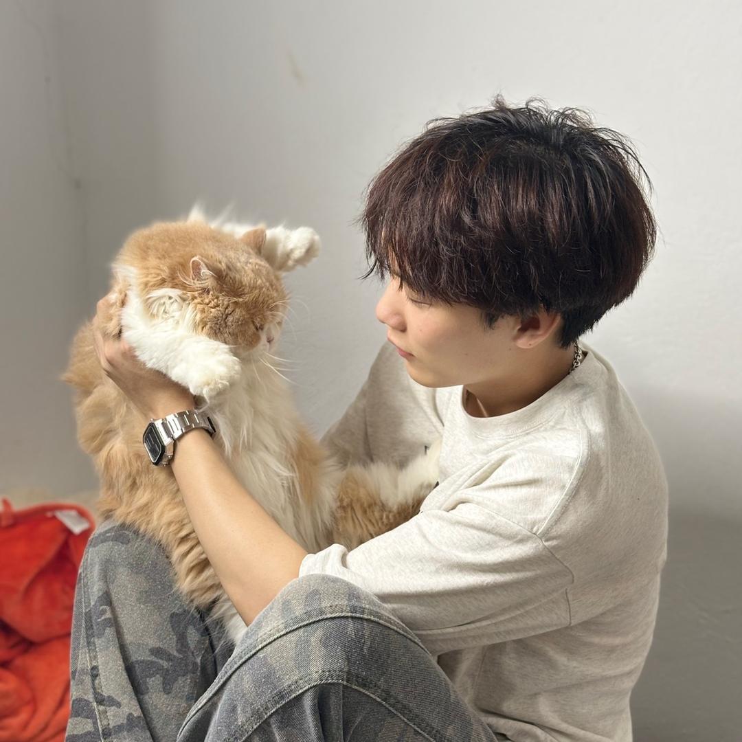 猫狗双全的顺师傅