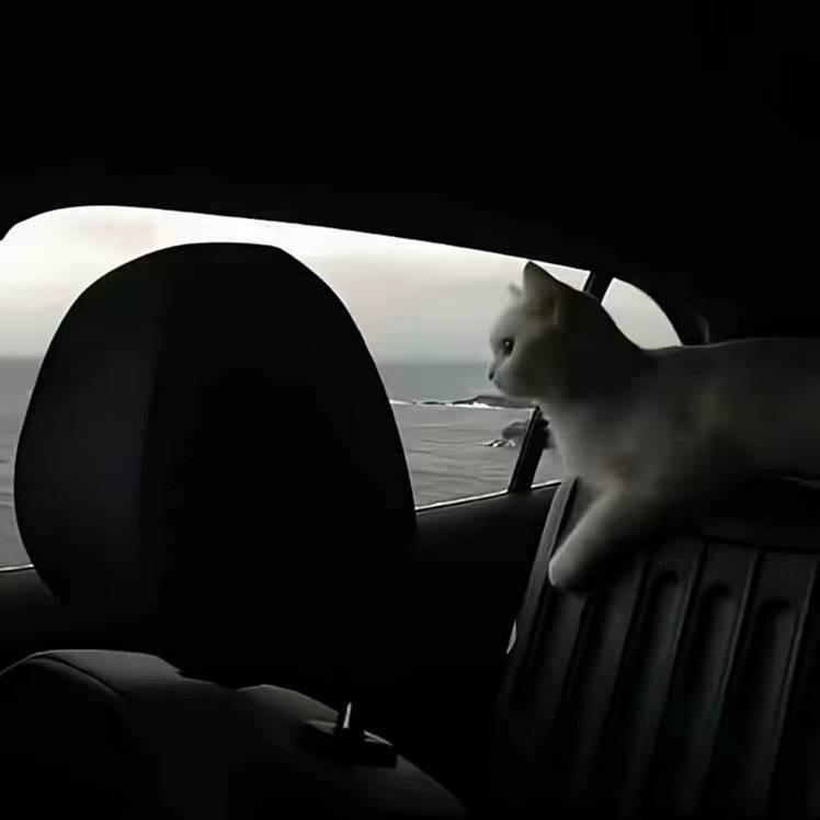 ︉︋︍︋︋︉︋︍要忧也要u